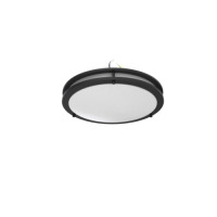 Customizable American specification LED double ring ceiling light for modern interiors