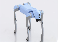 Robot Dog