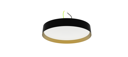 Customizable American specification LED D ceiling light for modern spaces